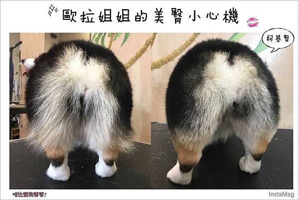 1.jpg 1.jpg
