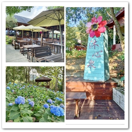 台中近郊欣賞白雪木/繡球花/櫻花/油桐花/金針花/楓葉的地方