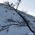 白川雪景