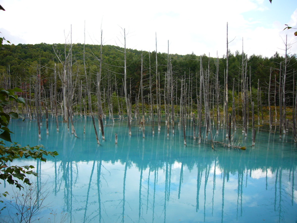 這就是美瑛白金新盛起的景點--blue pond.JPG