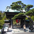 長谷寺3.JPG