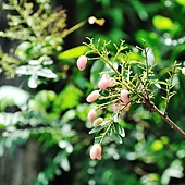 DSC_0390 DSC_0390