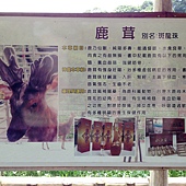 IMG_2813 IMG_2813