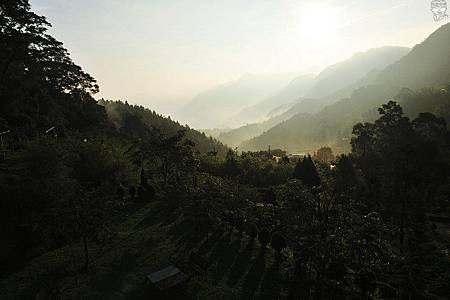 DSC_4651.jpg DSC_4651.jpg
