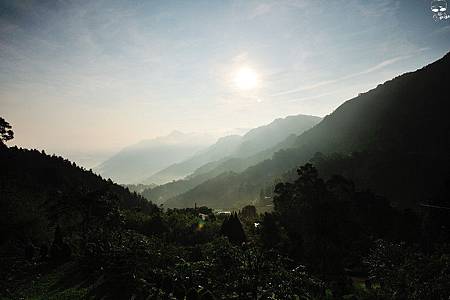 DSC_4653.jpg DSC_4653.jpg