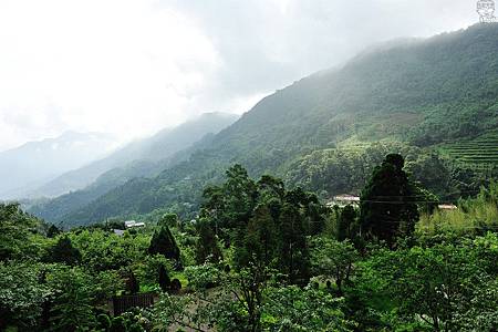DSC_4668.jpg DSC_4668.jpg