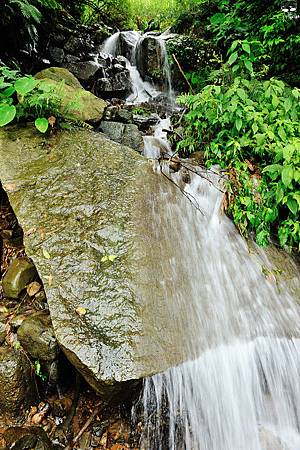 DSC_4683.jpg DSC_4683.jpg