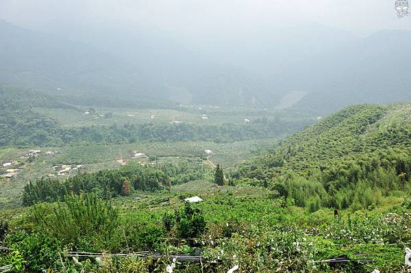 DSC_7246.jpg DSC_7246.jpg