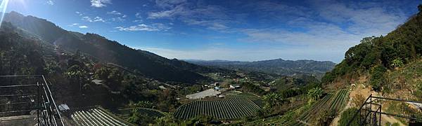 IMG_1137.JPG IMG_1137.JPG