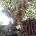 20100915-03.jpg