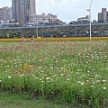 20100918-07.jpg