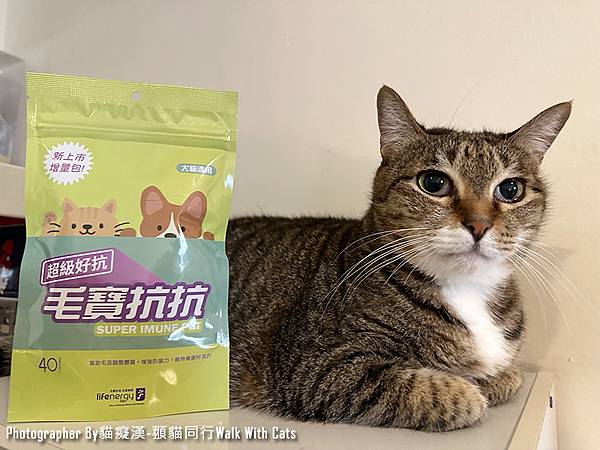 寵物保養品-超級好抗毛寶抗抗，酵母葡聚多醣體維持毛孩防護力