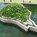 台灣形狀的生態水池