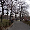 中央公園 (Central Park)