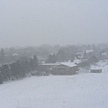 十二月初  下大雪了！跑道都不見了