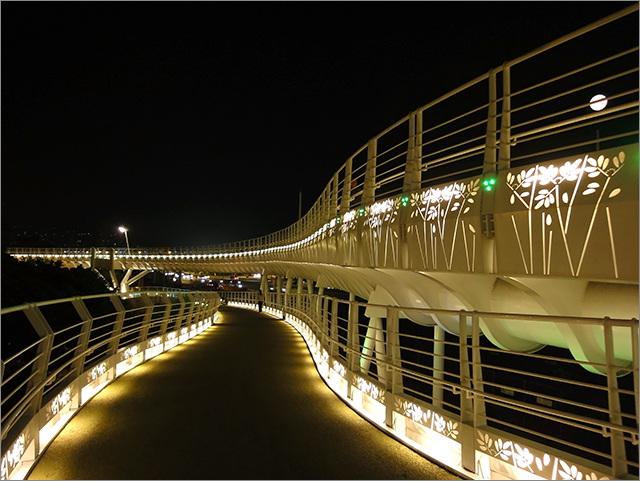 高雄菱角田棧橋_19.jpg