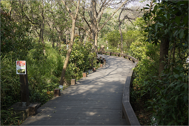 高雄鳥松濕地公園_4