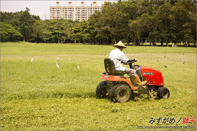 高雄都會公園_5