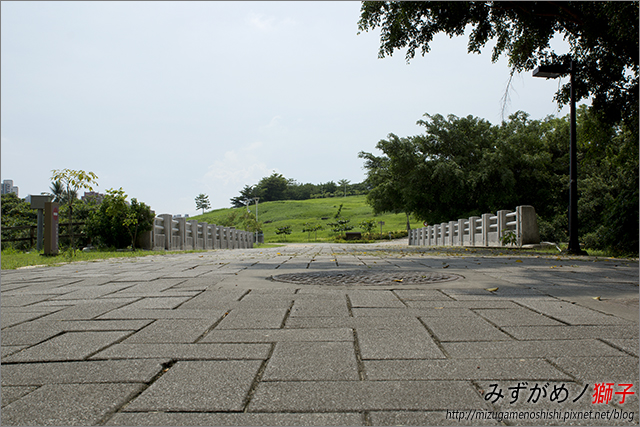 高雄都會公園_6