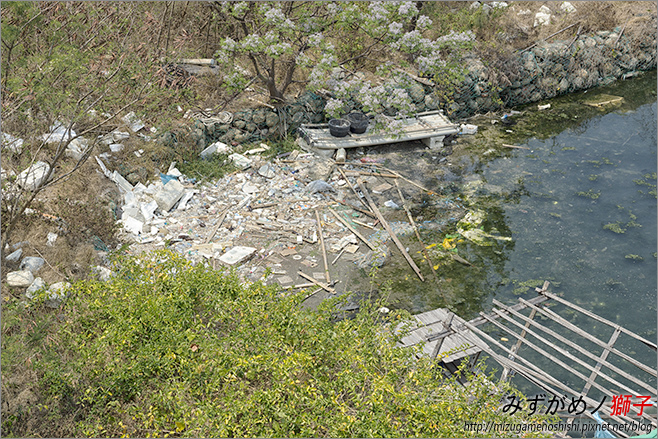 漁光島_6.jpg