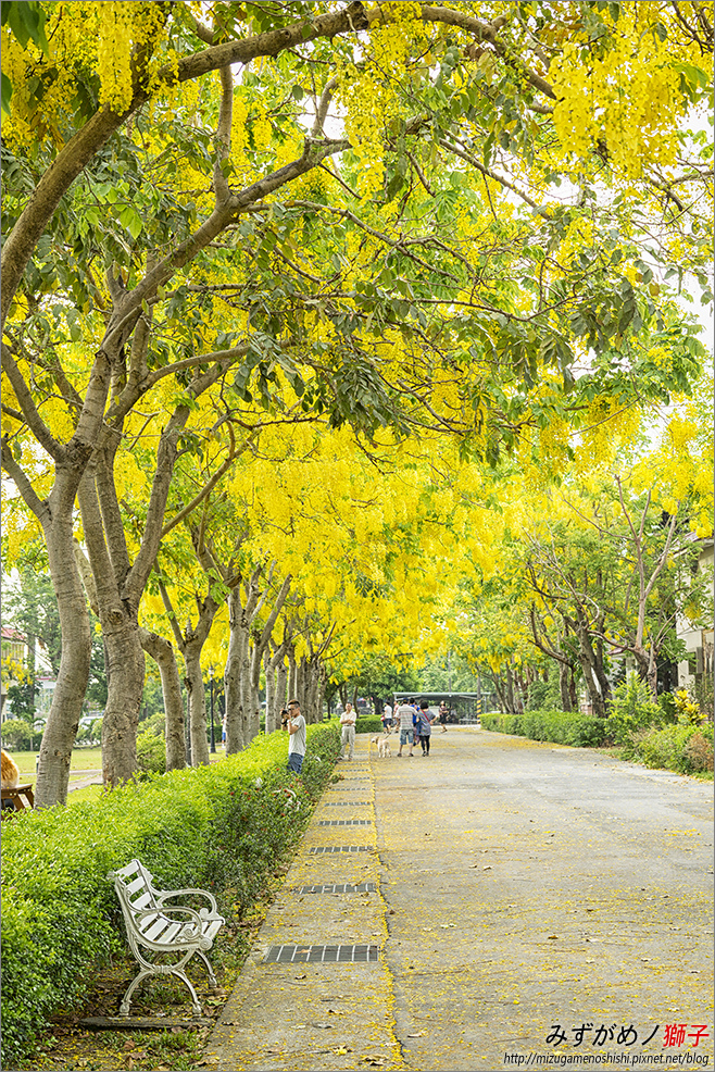 屏東榮譽國民之家_6.jpg