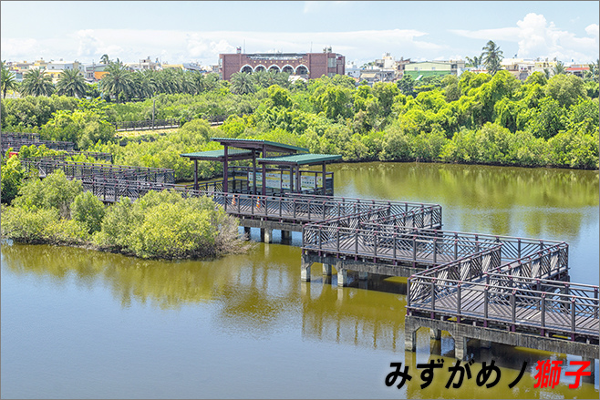 崎峰濕地公園_16.jpg