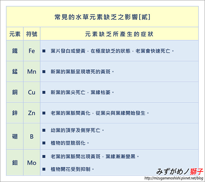 自製水草液肥_4.jpg