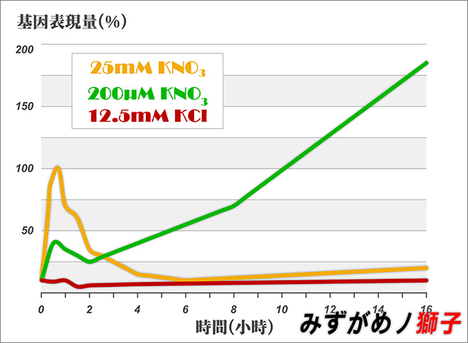 論水草液肥之施用手法_4.jpg