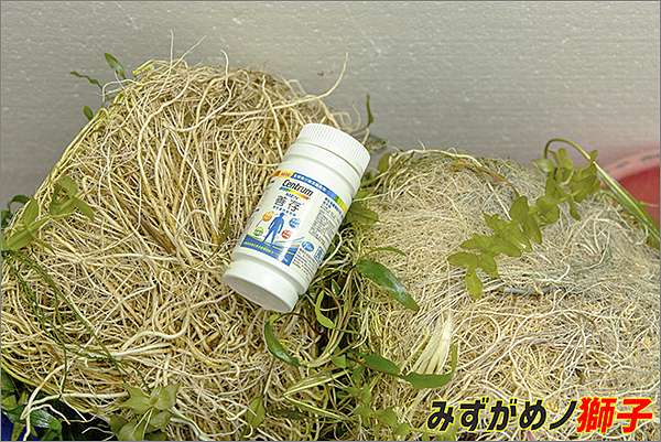 自製水草基肥 ここはみずがめノ獅子の生活に記録するブログです 痞客邦