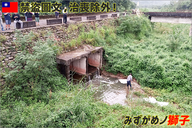 淺談抗生素用於水族對環境的衝擊_18.jpg