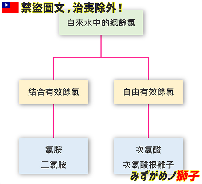 自製水質穩定劑_5.jpg