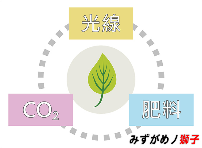 二氧化碳與水草缸的關聯性 ここはみずがめノ獅子の生活に記録するブログです 痞客邦 二氧化碳與水草缸的關聯性 ここはみずがめノ獅子の生活に記録するブログです 痞客邦