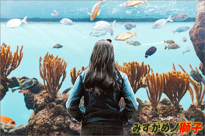 水族生物過濾的發展沿革_11.jpg