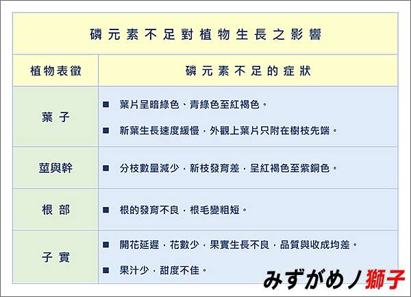 過度供給肥料對植物及環境的傷害 ここはみずがめノ獅子の生活に記録するブログです 痞客邦