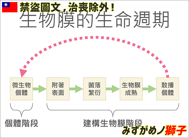 清洗培菌濾材的操作概要_13.jpg