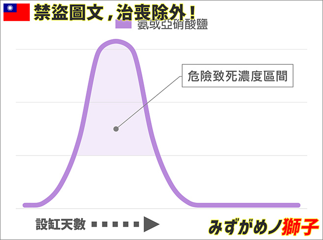 觀賞魚檢疫及老缸症候群_26.jpg