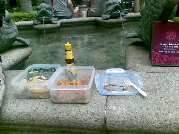 20090814 野餐with兒子.jpg 20090814 野餐with兒子.jpg