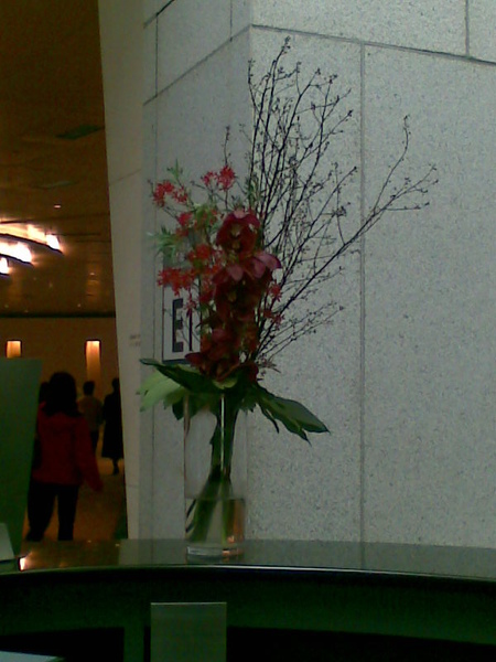 IFC20071229.jpg