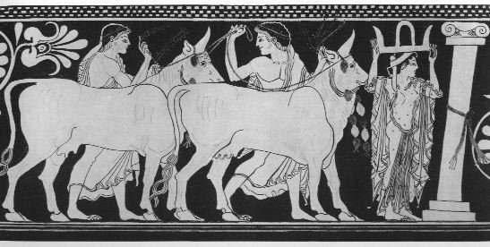 hercules and the stable