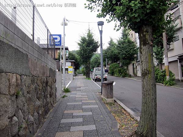 IMG_5273 IMG_5273