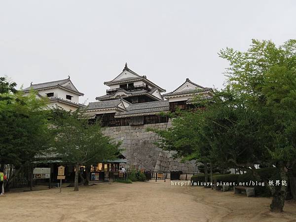 IMG_1567 IMG_1567
