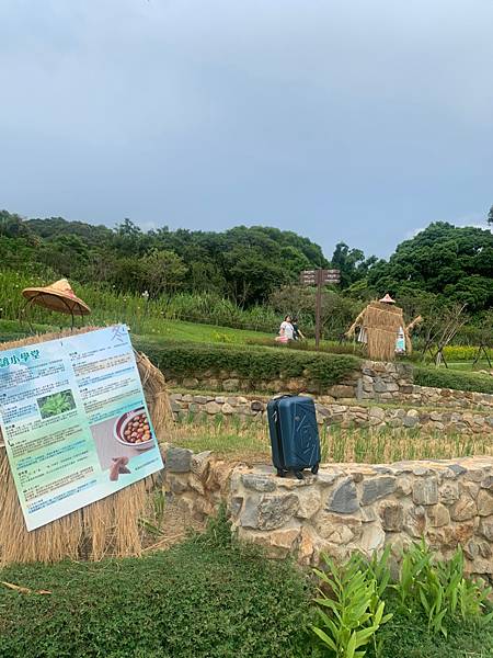 大有梯田森態公園_200730_69