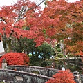 清水寺紅葉_03_大小.JPG