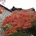 清水寺紅葉_13_大小.JPG