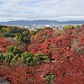 清水寺紅葉全景_1_大小.jpg