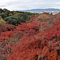 清水寺紅葉全景_2_大小.jpg