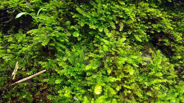 P_20160120_091418.jpg P_20160120_091418.jpg