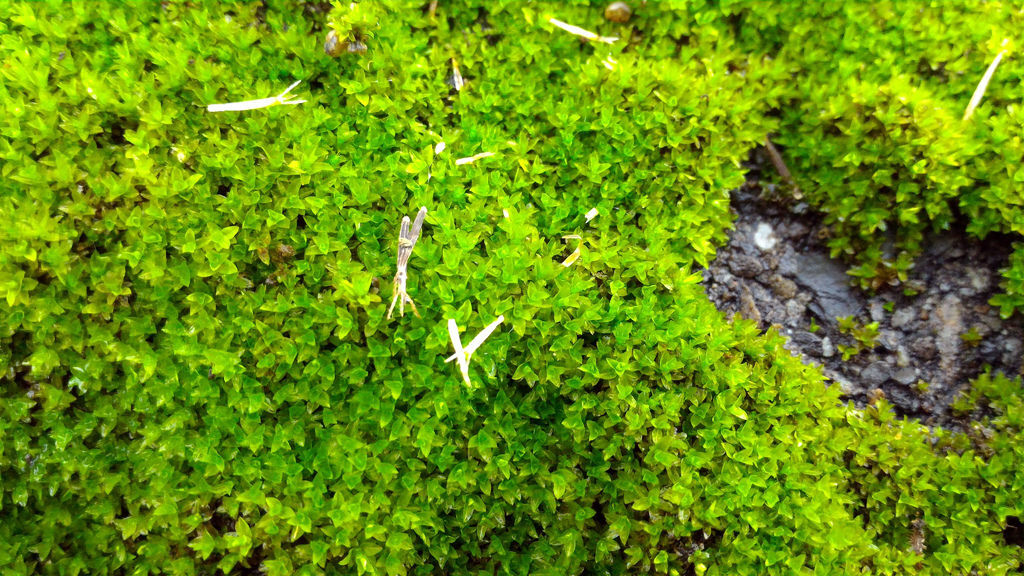 P_20160121_101751.jpg P_20160121_101751.jpg
