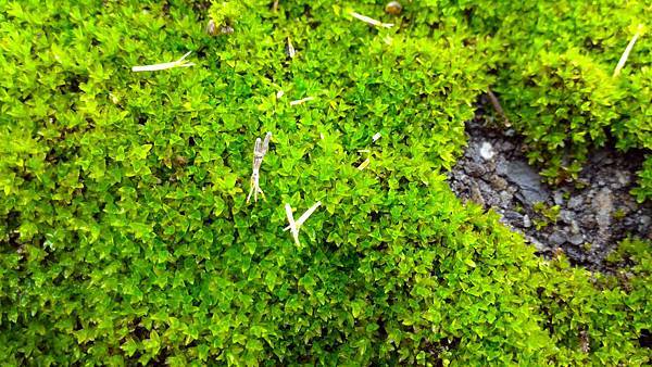 P_20160121_101751.jpg P_20160121_101751.jpg