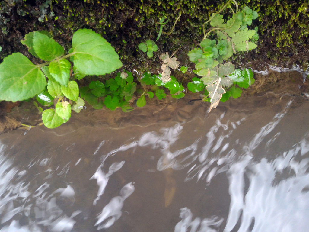P_20160229_141158.jpg P_20160229_141158.jpg